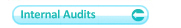 internal audit